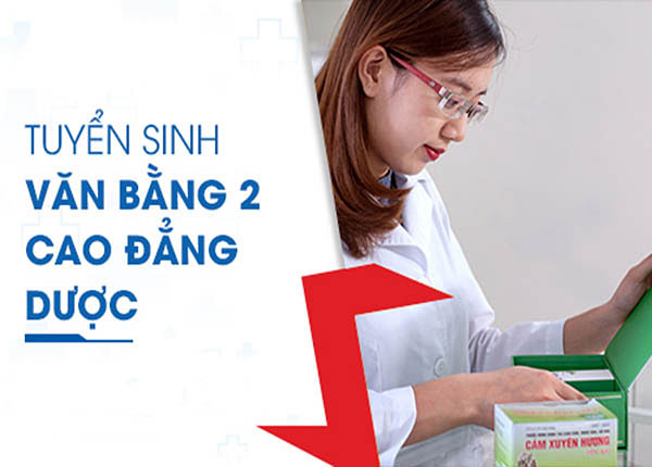 đào tạo văn bằng 2 dược